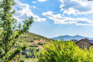 Property view of mountains