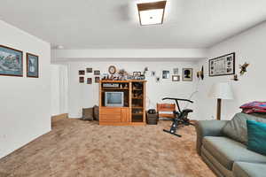 Living room featuring a textured ceiling and carpet