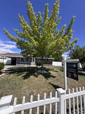 View of yard featuring fence private yard and an attached carport