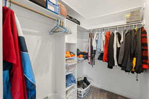 Walk in closet featuring carpet floors