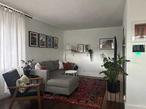 Living room featuring wood-type flooring and a textured ceiling