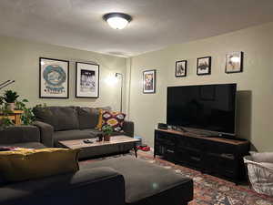 Living room basement