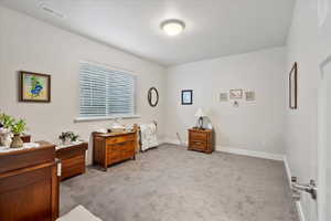 Bedroom featuring light colored carpet