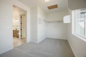 Walk in closet featuring light colored carpet