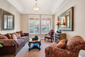 Carpeted living room featuring a raised ceiling