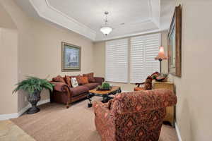 Living room with a tray ceiling and carpet floors