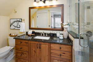 Bathroom with toilet, vaulted ceiling, vanity, and walk in shower