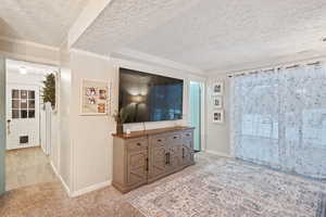 Carpeted living room with a textured ceiling