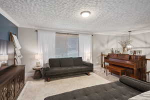 Living room with crown molding, a chandelier, light carpet, and a textured ceiling