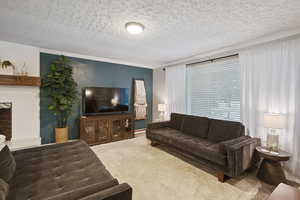 Carpeted living room with ornamental molding, a fireplace, and a textured ceiling