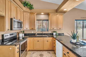 Kitchen featuring light brown cabinetry, sink, a wealth of natural light, and stainless steel appliances