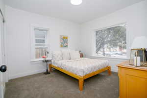 Master bedroom all new carpet, paint, huge closet