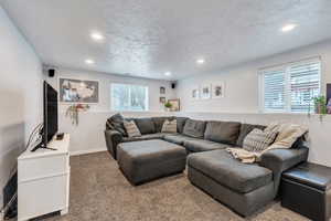 Family room featuring a healthy amount of sunlight, carpet floors, and a textured ceiling