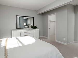 Bedroom with light carpet, a spacious closet, and a closet