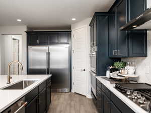 Kitchen with sink, appliances with stainless steel finishes, range hood, light hardwood / wood-style floors, and backsplash