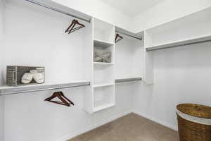 Spacious closet featuring carpet floors
