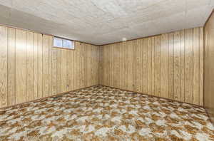 Basement with carpet and wooden walls