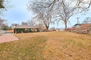 Backyard, mature trees