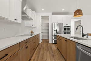 Kitchen with white cabinetry, wall chimney range hood, stainless steel appliances, and sink