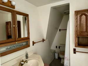 Bathroom with sink and toilet and shower