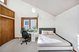 Bedroom featuring light carpet and high vaulted ceiling