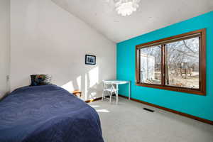 Carpeted bedroom with lofted ceiling