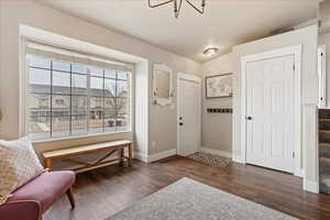 Foyer featuring dark wood-type flooring