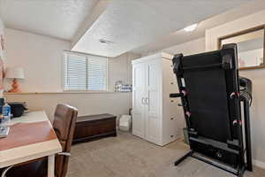 Office featuring light carpet and a textured ceiling