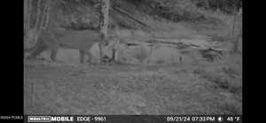 Photo 38 of 10780  FORD RIDGE RD