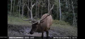Photo 41 of 10780  FORD RIDGE RD