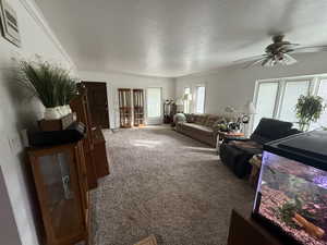 Living room featuring ceiling fan, crown molding, a textured ceiling, and carpet