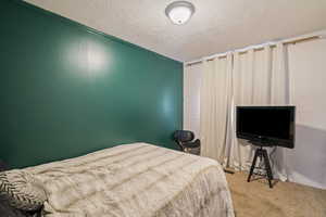 Carpeted bedroom featuring a textured ceiling