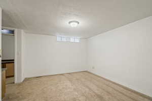 Basement featuring carpet flooring and a textured ceiling