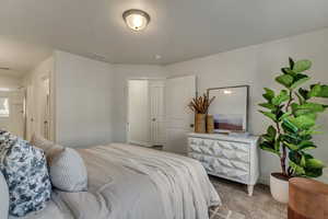 Bedroom with light colored carpet