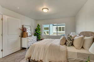 Bedroom featuring carpet floors