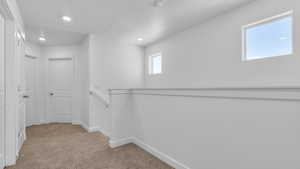 Walk in closet with light carpet