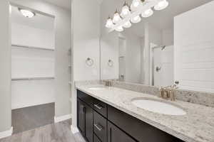 Bathroom featuring vanity, wood-type flooring, and walk in shower