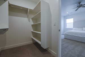 Walk in closet featuring ceiling fan and carpet floors