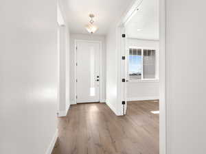 Entrance foyer featuring light hardwood / wood-style flooring