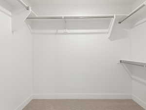 Spacious closet featuring carpet