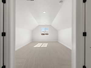 Additional living space with lofted ceiling, a textured ceiling, and carpet