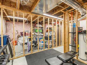 Basement storage room.  Water heater, water softener, heater.