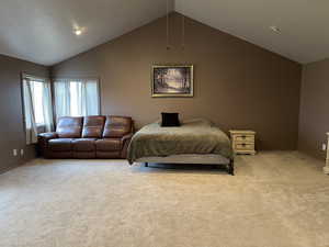 Carpeted bedroom featuring vaulted ceiling