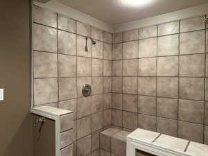 Bathroom with tiled shower