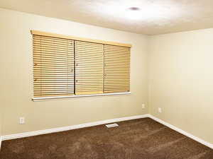 Empty room featuring carpet flooring and a textured ceiling