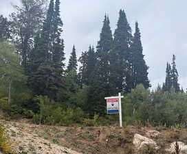 Exterior view of a forest across the street