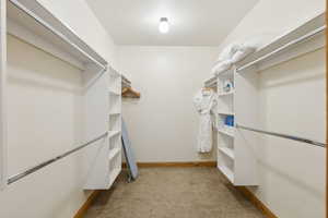 Spacious closet with light carpet