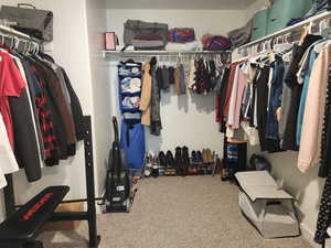 Walk in closet featuring carpet