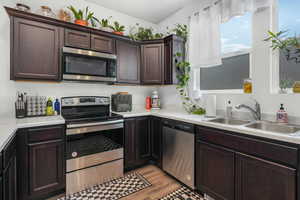 Kitchen featuring dark brown cabinetry, sink, stainless steel appliances, and light hardwood / wood-style floors