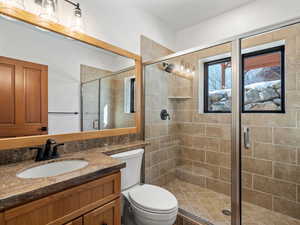 Bathroom featuring vanity, toilet, and a shower with shower door